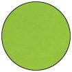 Embossing Powder Lime Green, 1oz Jar