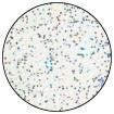 Embossing Powder Snowflake Tinsel, 1oz Jar